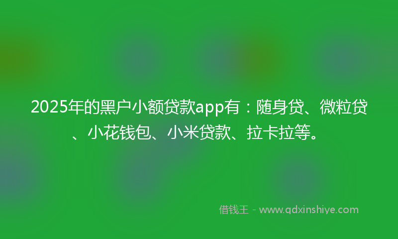2025年的黑户小额贷款app有：随身贷、微粒贷、小花钱包、小米贷款、拉卡拉等。