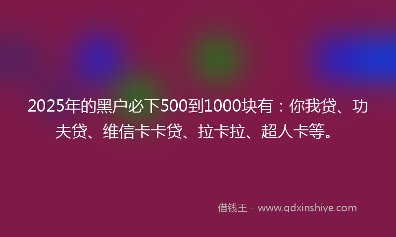 2025年的黑户必下500到1000块有：你我贷、功夫贷、维信卡卡贷、拉卡拉、超人卡等。