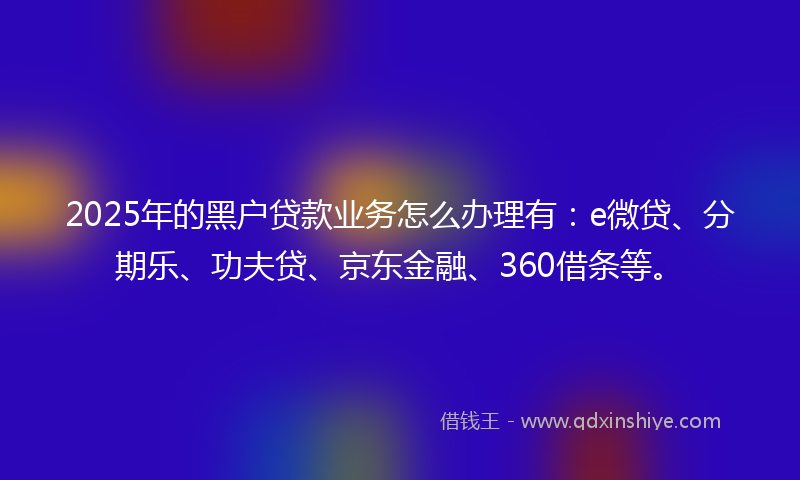 2025年的黑户贷款业务怎么办理有：e微贷、分期乐、功夫贷、京东金融、360借条等。