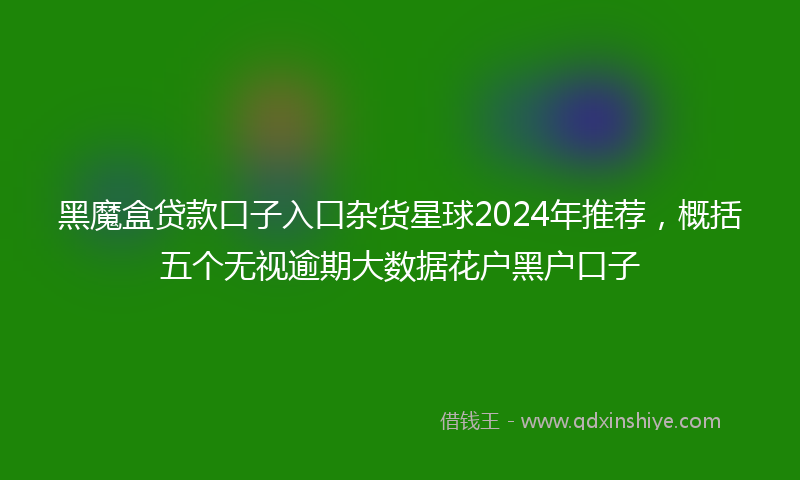 黑魔盒贷款口子入口杂货星球2024年推荐，概括五个无视逾期大数据花户黑户口子