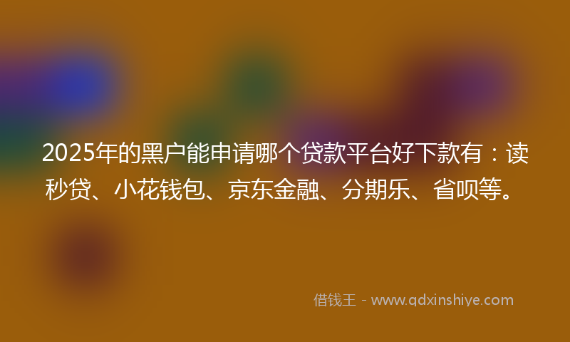 2025年的黑户能申请哪个贷款平台好下款有：读秒贷、小花钱包、京东金融、分期乐、省呗等。