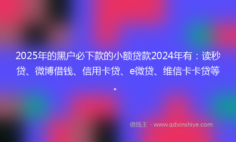 2025年的黑户必下款的小额贷款2024年有：读秒贷、微博借钱、信用卡贷、e微贷、维信卡卡贷等。