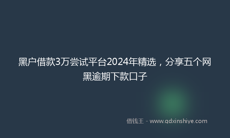黑户借款3万尝试平台2024年精选，分享五个网黑逾期下款口子