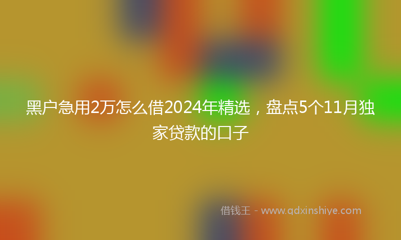 黑户急用2万怎么借2024年精选，盘点5个11月独家贷款的口子