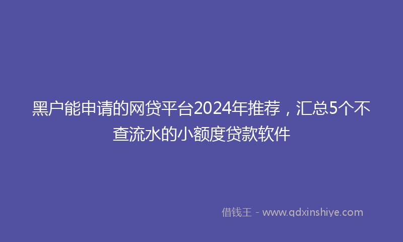 黑户能申请的网贷平台2024年推荐，汇总5个不查流水的小额度贷款软件