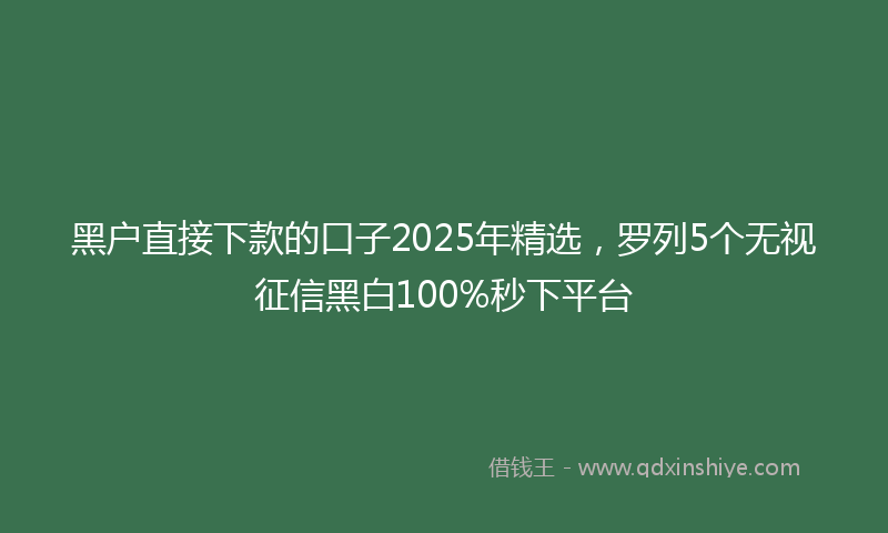 黑户直接下款的口子2025年精选，罗列5个无视征信黑白100%秒下平台