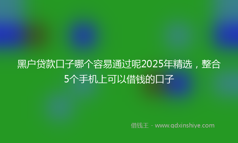 黑户贷款口子哪个容易通过呢2025年精选，整合5个手机上可以借钱的口子