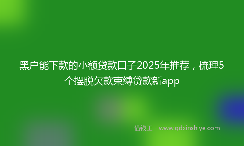 黑户能下款的小额贷款口子2025年推荐，梳理5个摆脱欠款束缚贷款新app