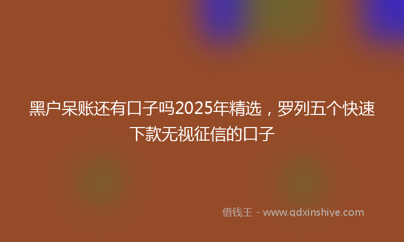 黑户呆账还有口子吗2025年精选，罗列五个快速下款无视征信的口子