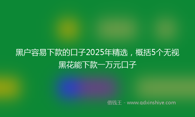 黑户容易下款的口子2025年精选，概括5个无视黑花能下款一万元口子
