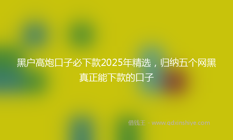 黑户高炮口子必下款2025年精选，归纳五个网黑真正能下款的口子