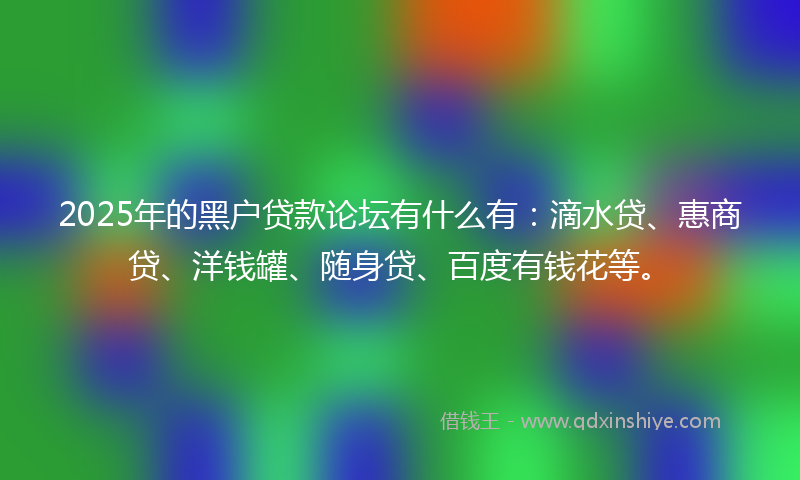 2025年的黑户贷款论坛有什么有：滴水贷、惠商贷、洋钱罐、随身贷、百度有钱花等。