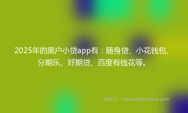 2025年的黑户小贷app有：随身贷、小花钱包、分期乐、好期贷、百度有钱花等。