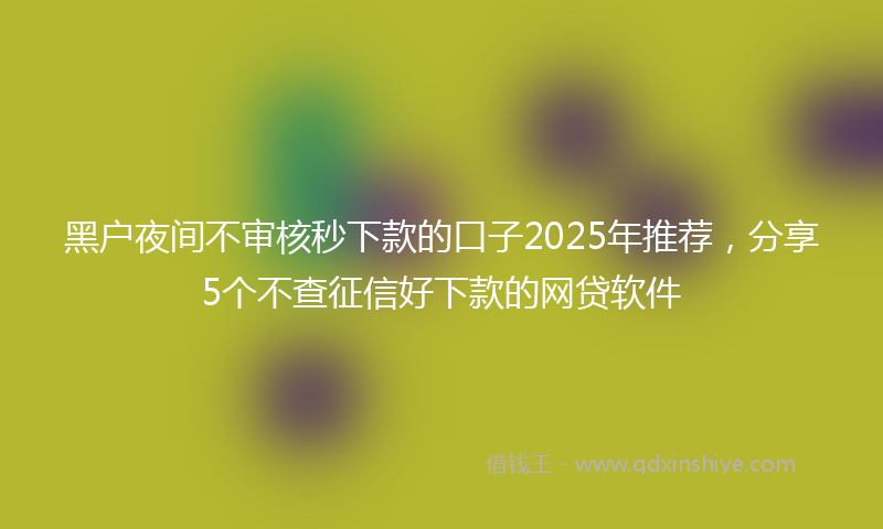 黑户夜间不审核秒下款的口子2025年推荐，分享5个不查征信好下款的网贷软件