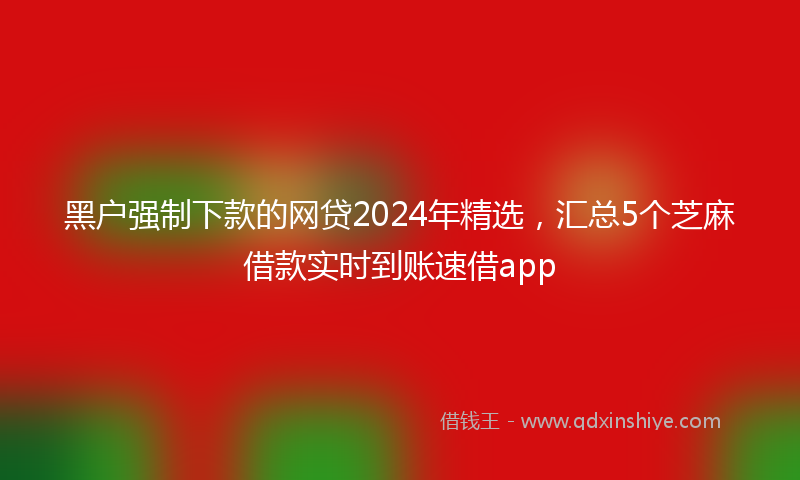 黑户强制下款的网贷2024年精选，汇总5个芝麻借款实时到账速借app
