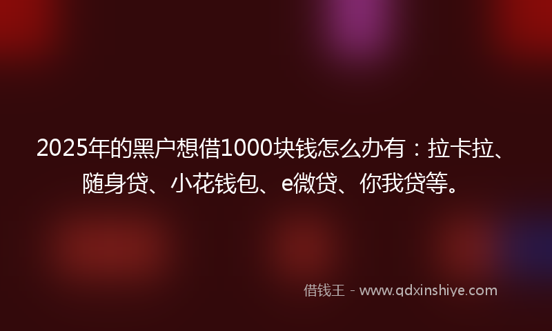 2025年的黑户想借1000块钱怎么办有：拉卡拉、随身贷、小花钱包、e微贷、你我贷等。