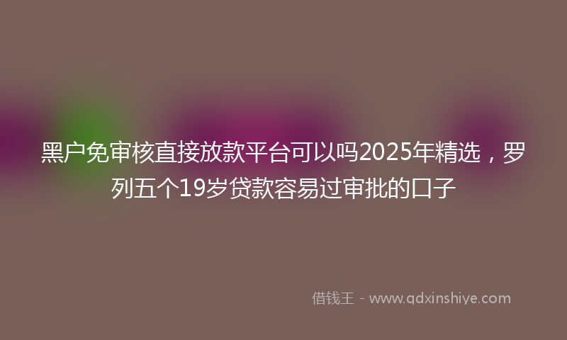 黑户免审核直接放款平台可以吗2025年精选，罗列五个19岁贷款容易过审批的口子