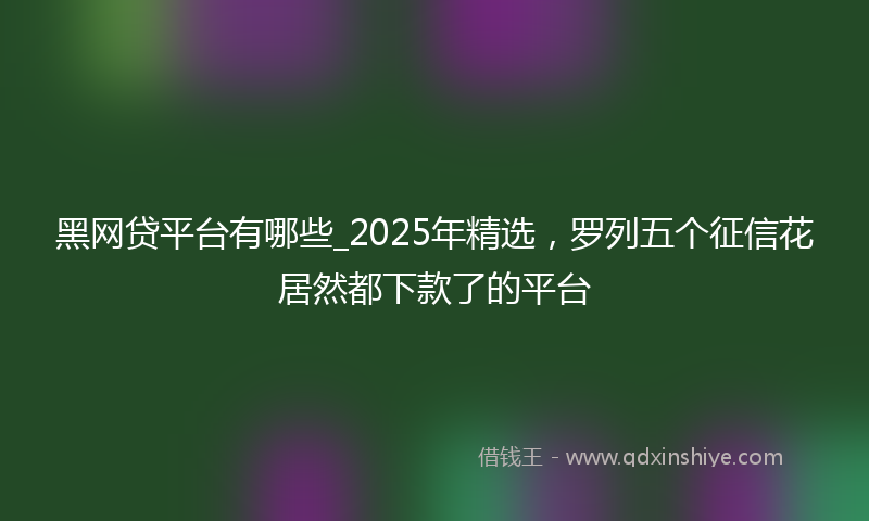 黑网贷平台有哪些_2025年精选，罗列五个征信花居然都下款了的平台