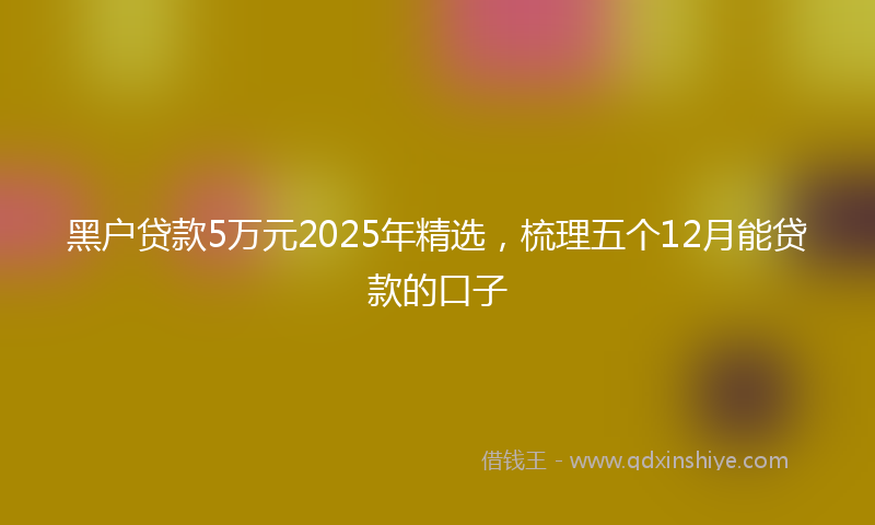 黑户贷款5万元2025年精选，梳理五个12月能贷款的口子