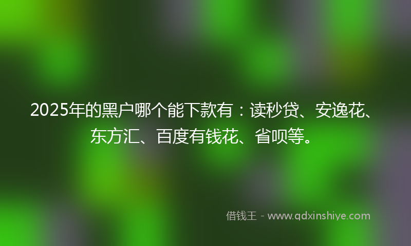 2025年的黑户哪个能下款有：读秒贷、安逸花、东方汇、百度有钱花、省呗等。