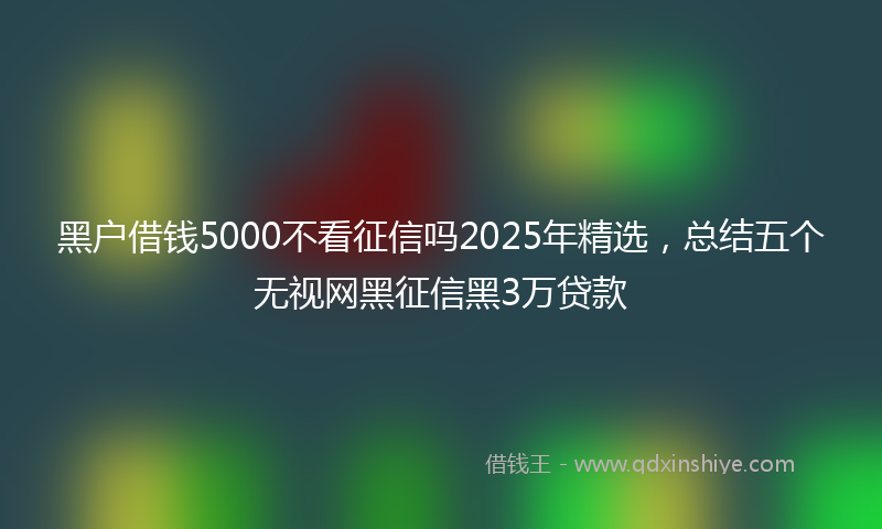 黑户借钱5000不看征信吗2025年精选，总结五个无视网黑征信黑3万贷款