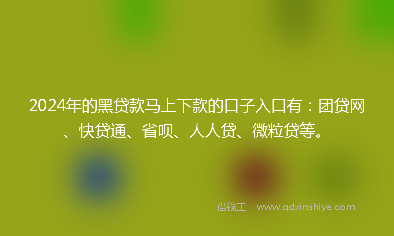 2024年的黑贷款马上下款的口子入口有：团贷网、快贷通、省呗、人人贷、微粒贷等。
