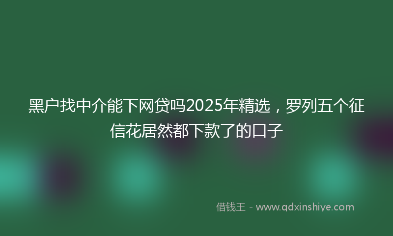 黑户找中介能下网贷吗2025年精选，罗列五个征信花居然都下款了的口子