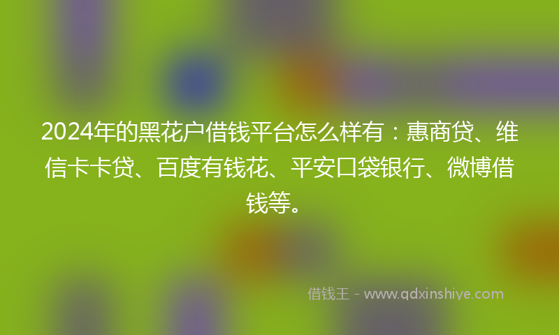2024年的黑花户借钱平台怎么样有：惠商贷、维信卡卡贷、百度有钱花、平安口袋银行、微博借钱等。