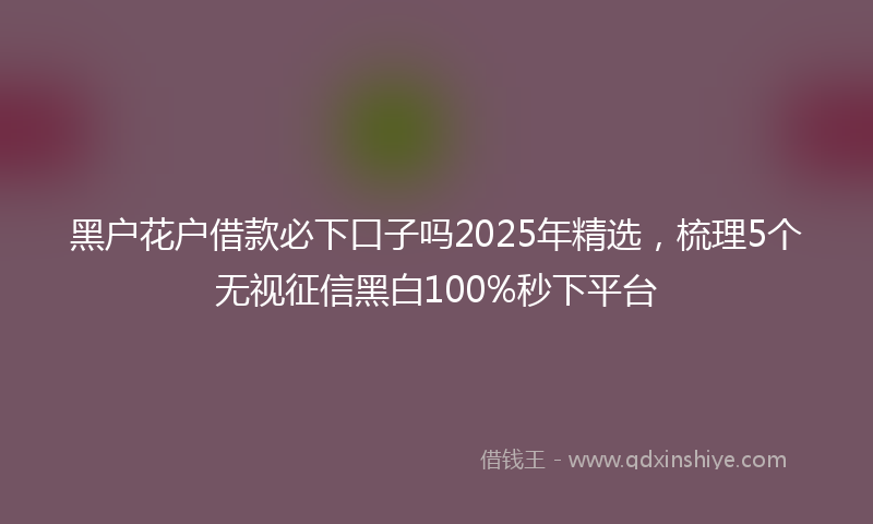 黑户花户借款必下口子吗2025年精选，梳理5个无视征信黑白100%秒下平台