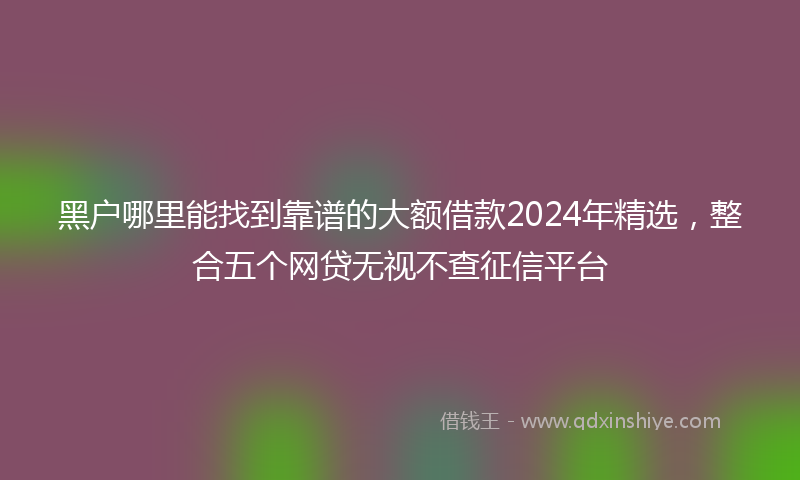 黑户哪里能找到靠谱的大额借款2024年精选，整合五个网贷无视不查征信平台