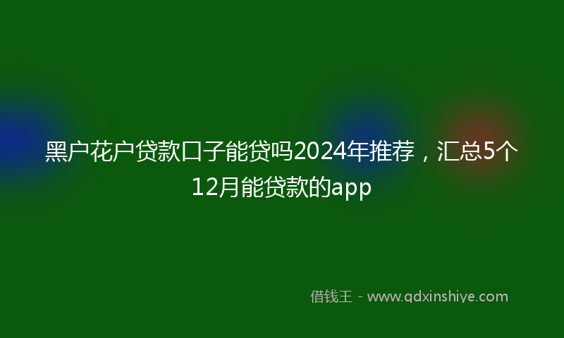 黑户花户贷款口子能贷吗2024年推荐，汇总5个12月能贷款的app