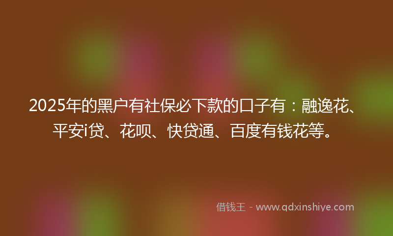 2025年的黑户有社保必下款的口子有：融逸花、平安i贷、花呗、快贷通、百度有钱花等。