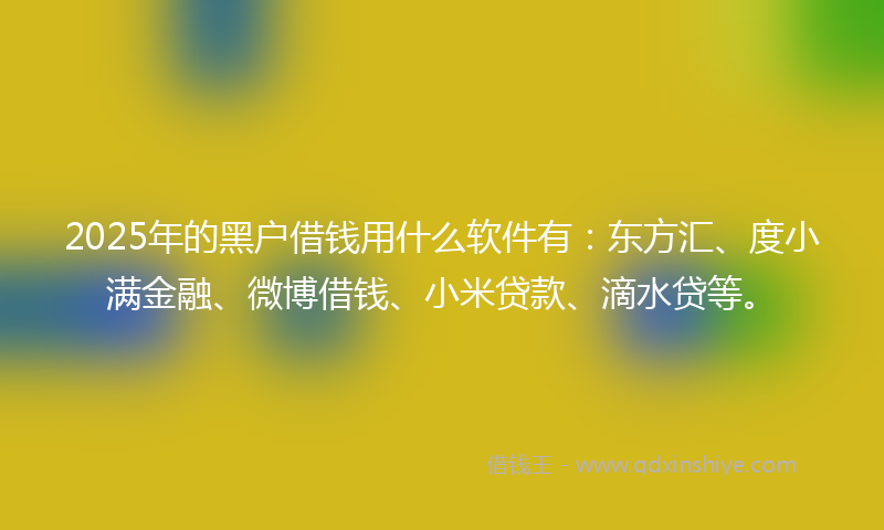 2025年的黑户借钱用什么软件有：东方汇、度小满金融、微博借钱、小米贷款、滴水贷等。