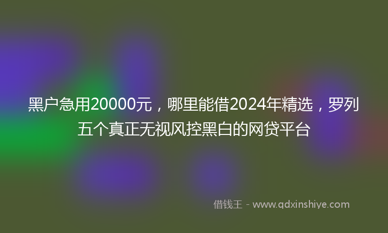黑户急用20000元，哪里能借2024年精选，罗列五个真正无视风控黑白的网贷平台