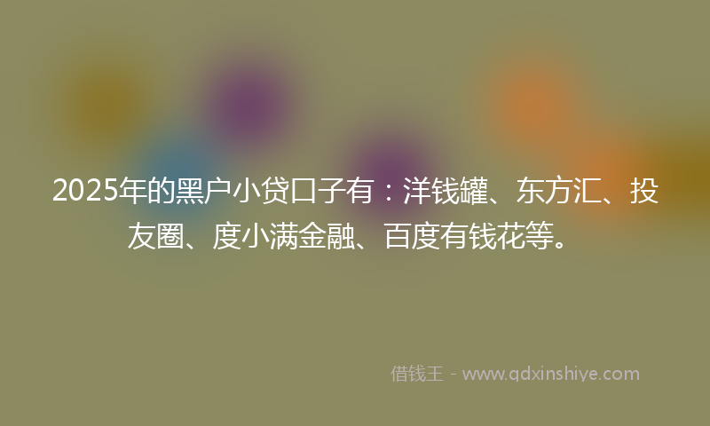 2025年的黑户小贷口子有：洋钱罐、东方汇、投友圈、度小满金融、百度有钱花等。
