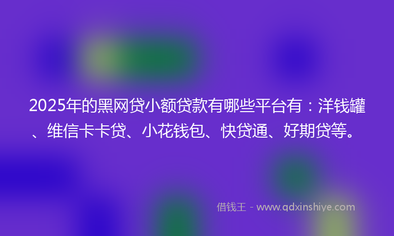 2025年的黑网贷小额贷款有哪些平台有：洋钱罐、维信卡卡贷、小花钱包、快贷通、好期贷等。