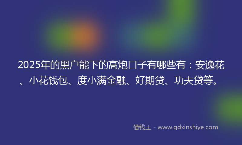 2025年的黑户能下的高炮口子有哪些有：安逸花、小花钱包、度小满金融、好期贷、功夫贷等。