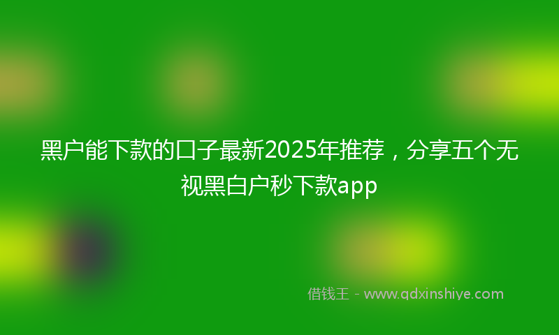 黑户能下款的口子最新2025年推荐，分享五个无视黑白户秒下款app