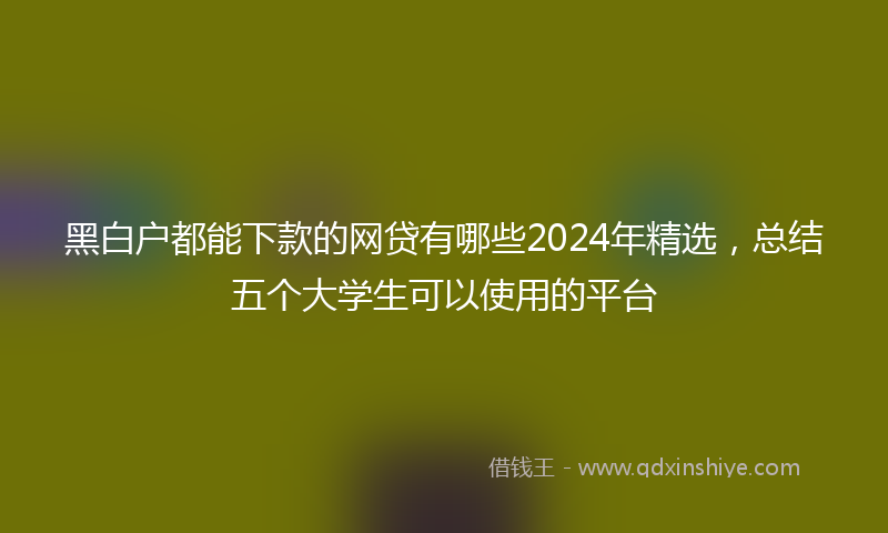 黑白户都能下款的网贷有哪些2024年精选，总结五个大学生可以使用的平台