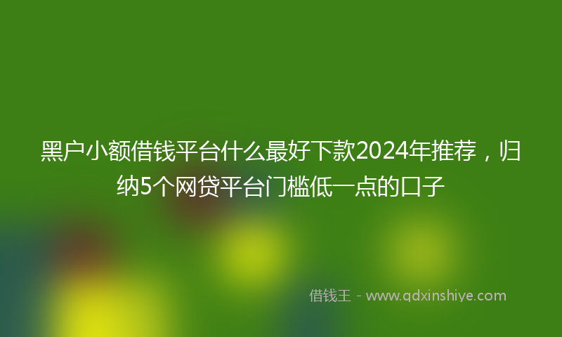 黑户小额借钱平台什么最好下款2024年推荐，归纳5个网贷平台门槛低一点的口子