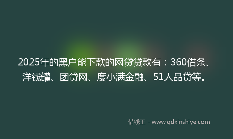 2025年的黑户能下款的网贷贷款有：360借条、洋钱罐、团贷网、度小满金融、51人品贷等。
