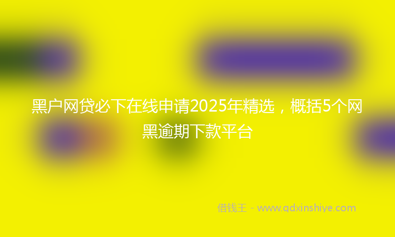 黑户网贷必下在线申请2025年精选，概括5个网黑逾期下款平台