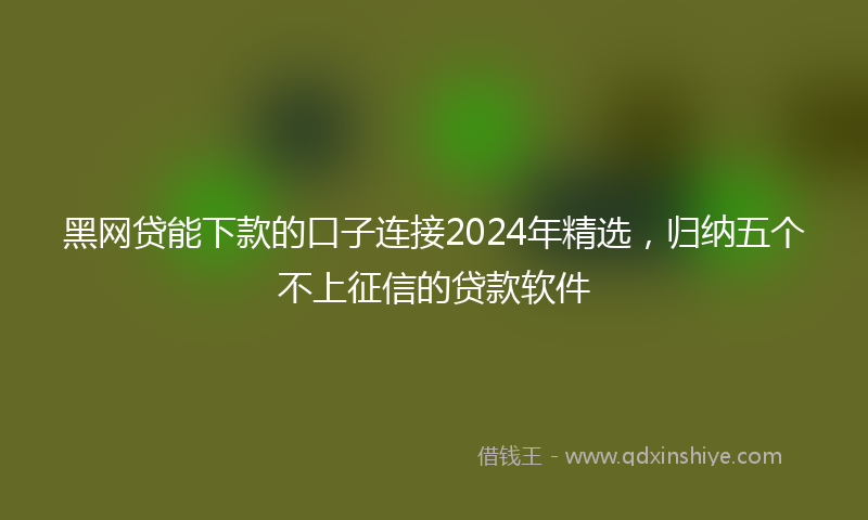 黑网贷能下款的口子连接2024年精选，归纳五个不上征信的贷款软件
