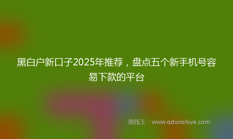 黑白户新口子2025年推荐，盘点五个新手机号容易下款的平台