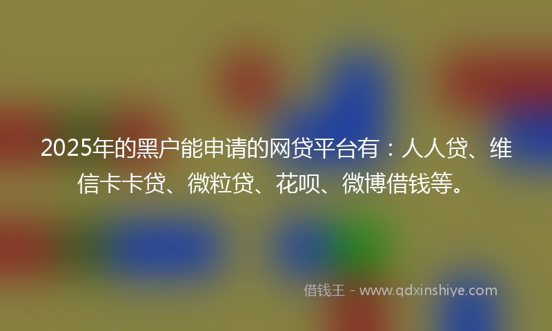 2025年的黑户能申请的网贷平台有：人人贷、维信卡卡贷、微粒贷、花呗、微博借钱等。