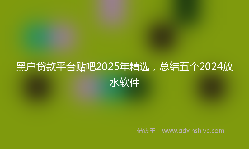 黑户贷款平台贴吧2025年精选，总结五个2024放水软件