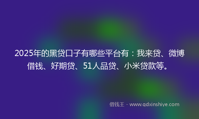 2025年的黑贷口子有哪些平台有：我来贷、微博借钱、好期贷、51人品贷、小米贷款等。