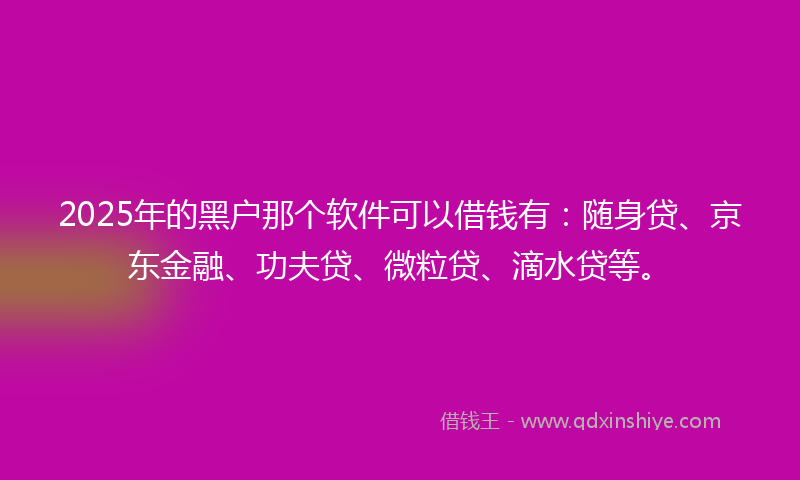 2025年的黑户那个软件可以借钱有：随身贷、京东金融、功夫贷、微粒贷、滴水贷等。