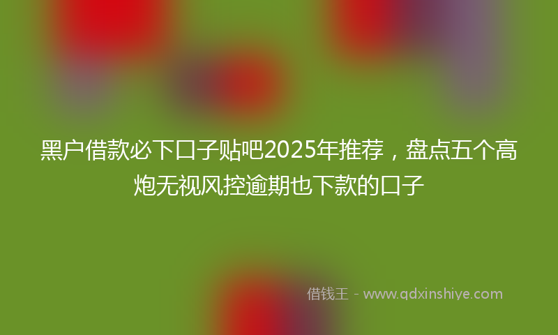 黑户借款必下口子贴吧2025年推荐，盘点五个高炮无视风控逾期也下款的口子