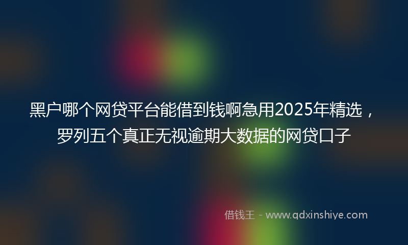 黑户哪个网贷平台能借到钱啊急用2025年精选，罗列五个真正无视逾期大数据的网贷口子